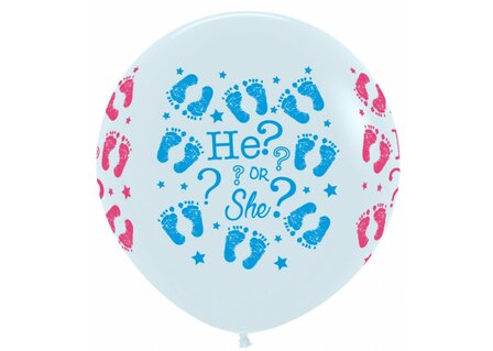 Gender Reveal Ballon pilaar - 2M